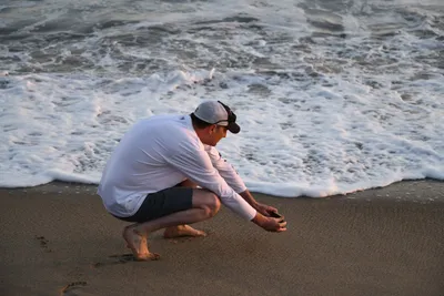 DSC_4146 (Large).JPG